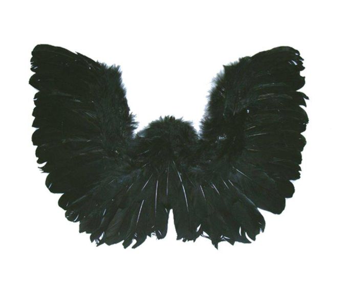 Φτερά Με Πούπουλα 55Χ40Cm Σε Μαύρο Χρώμα