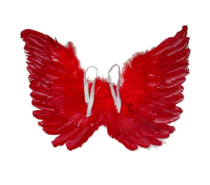 Φτερά Με Πούπουλα 55Χ40Cm Σε Κόκκινο Χρώμα