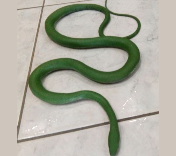 Φίδι Πλαστικό 1,00 μέτρο